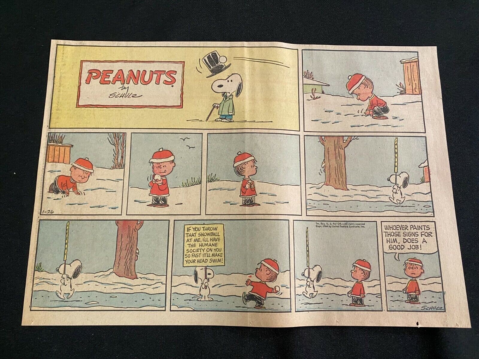 Hallmark The Sunday Funnies チャーリーブラウン Sunday's Fun Day, Charlie Brown: Schulz, Charles M.: Amazon