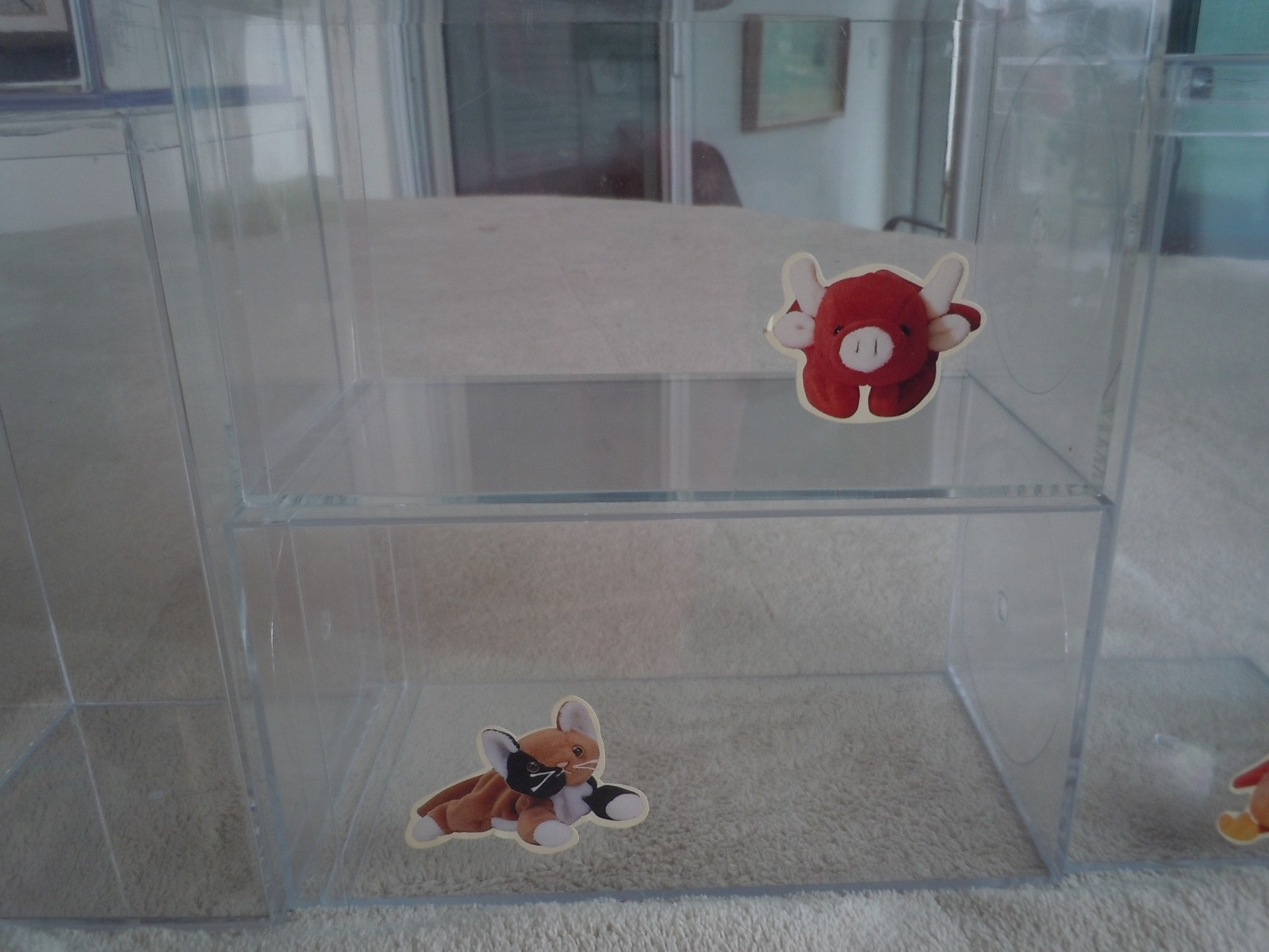 LOT OF 6 ACRYLIC DISPLAY CASES BEANIE BABIES CARS DOLLS BOBBLE HEADS COLLECTIONS