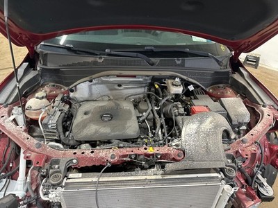 Picture 2