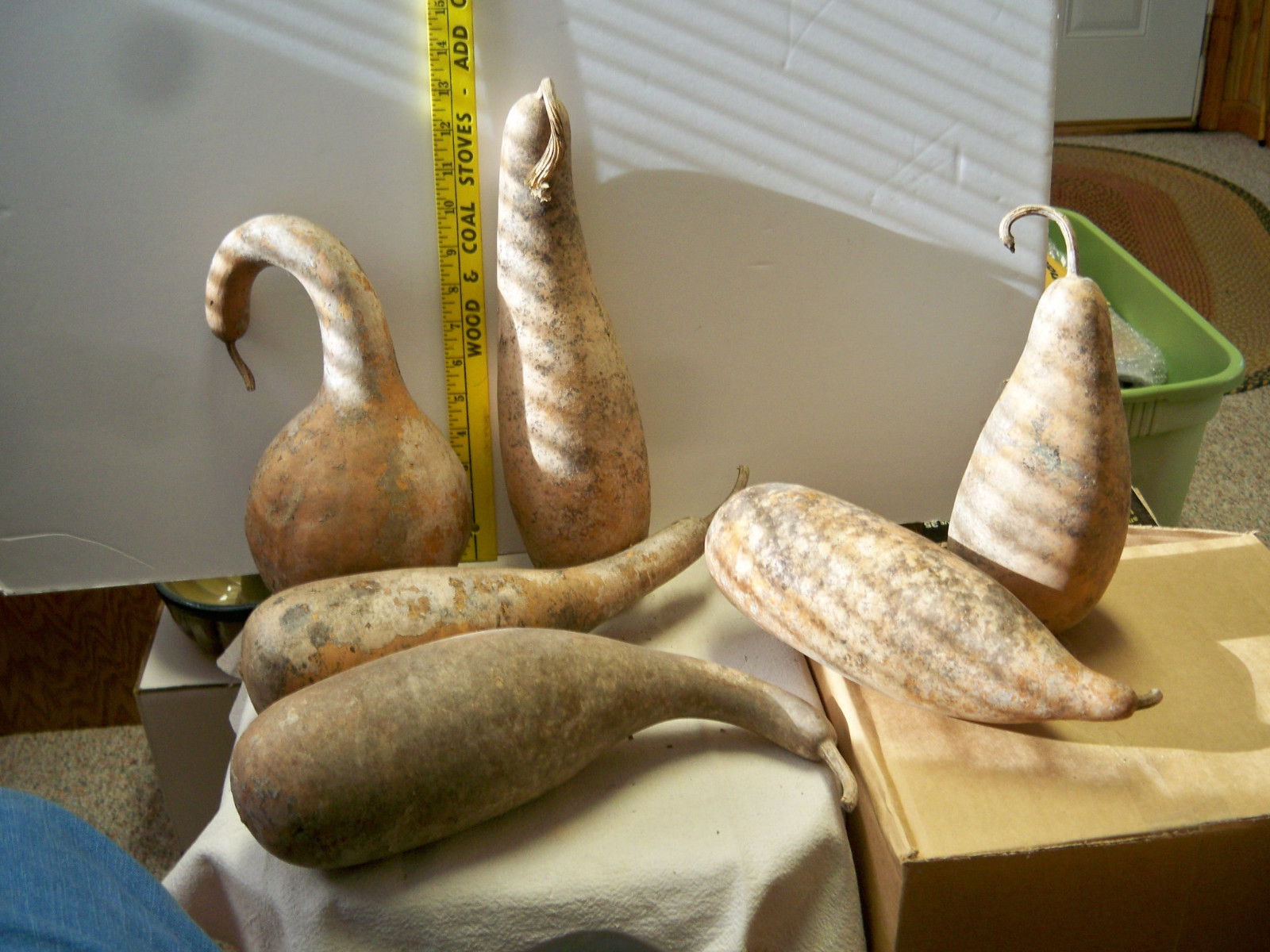 6 grungy gourds-various sizes and shapes Box #2
