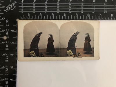 Stereoview Card You's a Dunce Girl & Dog VTG SV1.