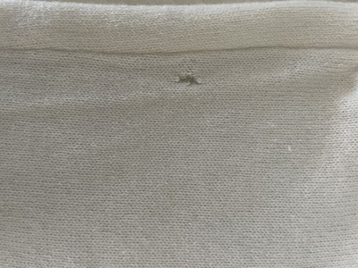 Foto dell'oggetto di un acquirente verificato