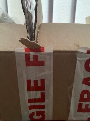 Item photo(s) from verified buyer