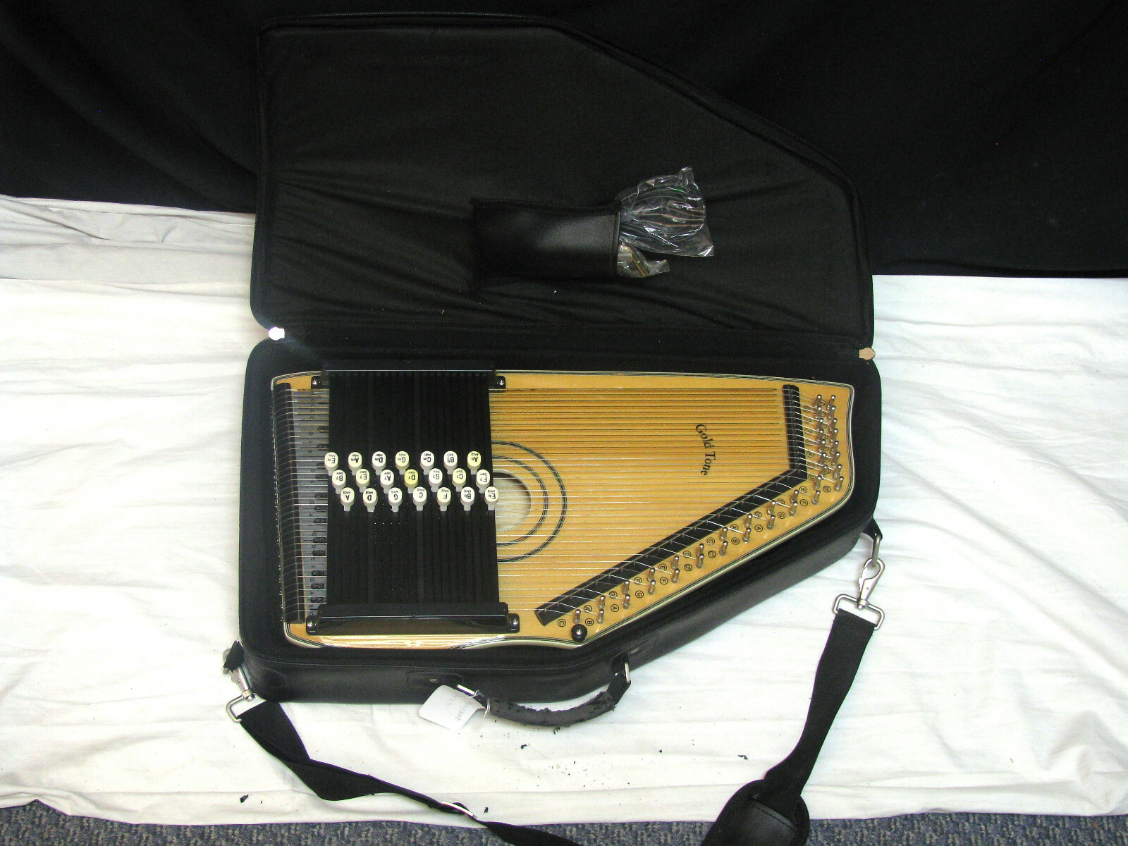 GOLD TONE ELECTRIC autoharp Chord-A-Harp NEW w/ Bag | eBay