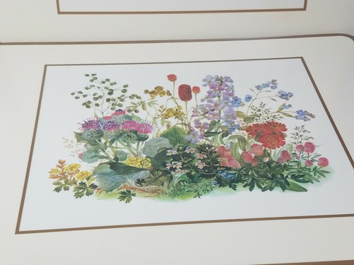 4 Pimpernel Meadow Flowers Placemats Acrylic Vintage Floral Prints 12