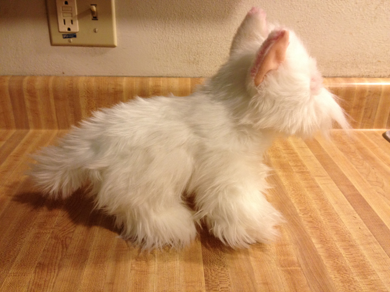 Ganz Webkinz Signature WEST HIGHLAND TERRIER Westie Dog Plush No Code WKS1030