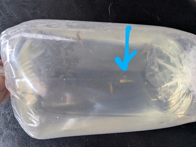 Item photo(s) from verified buyer