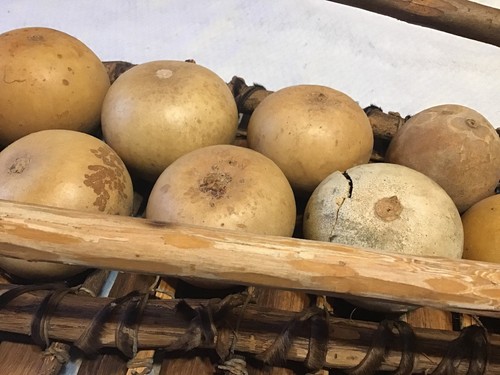 West African Wooden Balafon Xylophone Resonant Gourds 12 Tone Tribal Mallets