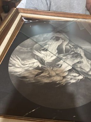 Artikelfoto(s) von einem verifizierten Käufer