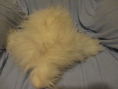 PLUSH POUND PUPPIES POUND FURRIES DOG WHITE 18