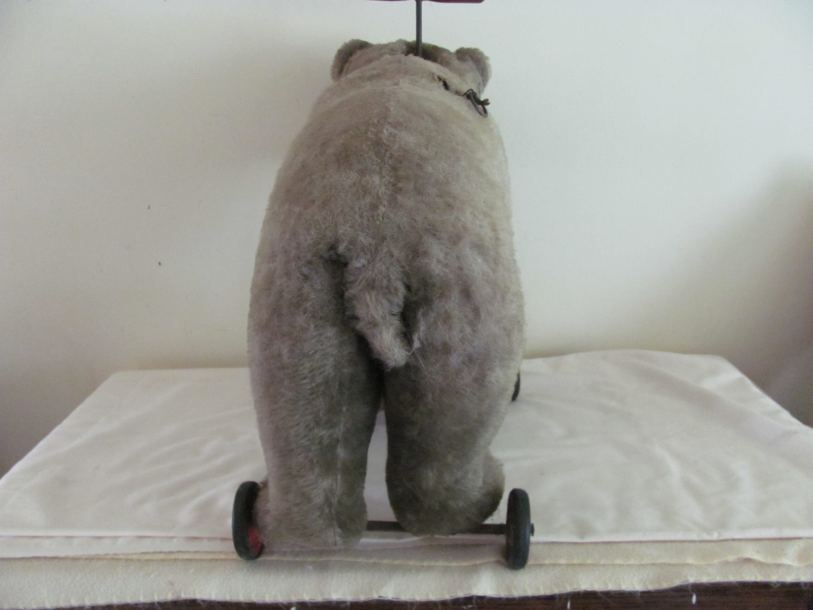 ANTIQUE 1928 STEIFF BEAR W/GROWLER 