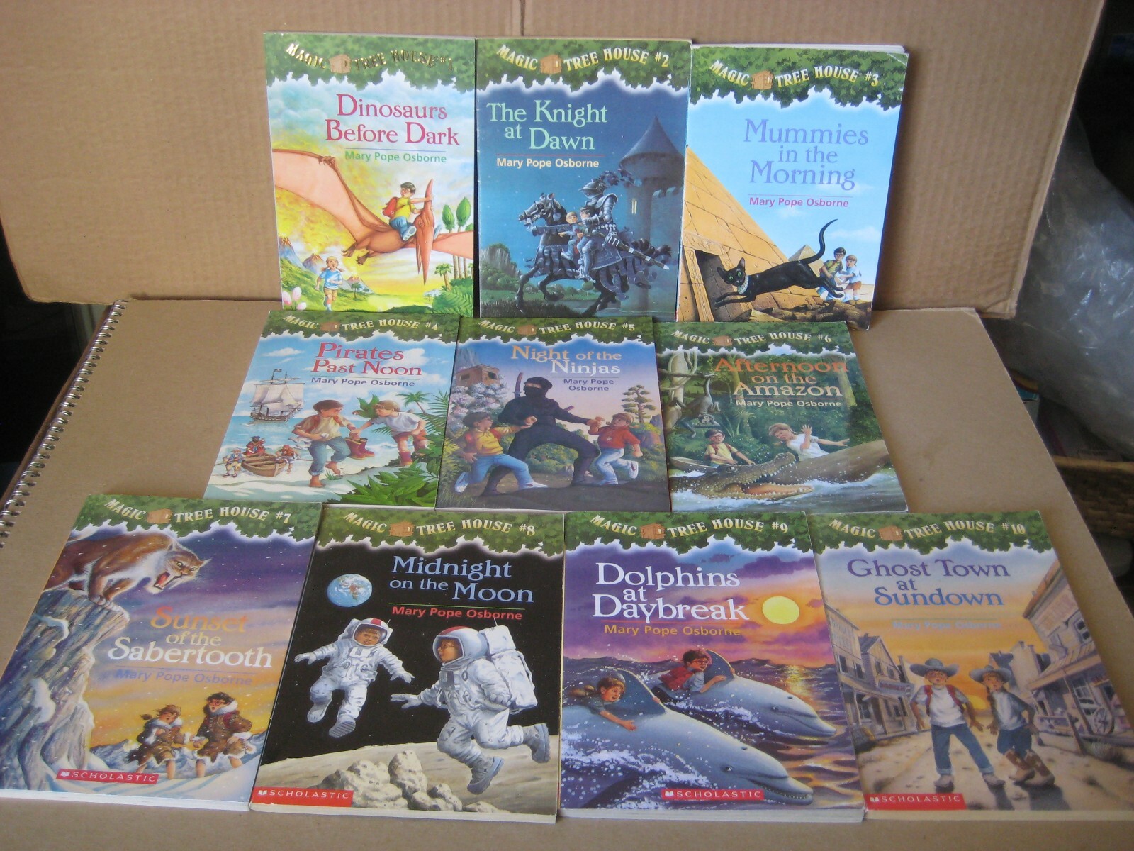 トーンMagic tree house1 、2 (32冊+27冊) 518VJVGBB5L._UF1000,1000_QL80_.jpg