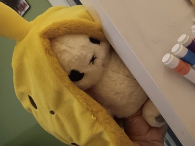 Artikelfoto(s) von einem verifizierten Käufer