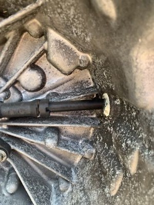 Photos de l'objet d'un acheteur vérifié