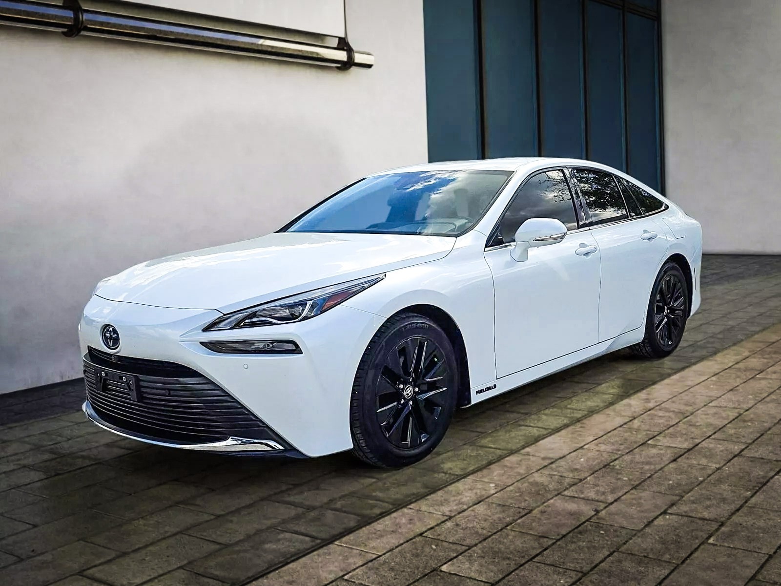 【Mirai☆ 】 MIRAI | Puroresu System Wiki | Fandom