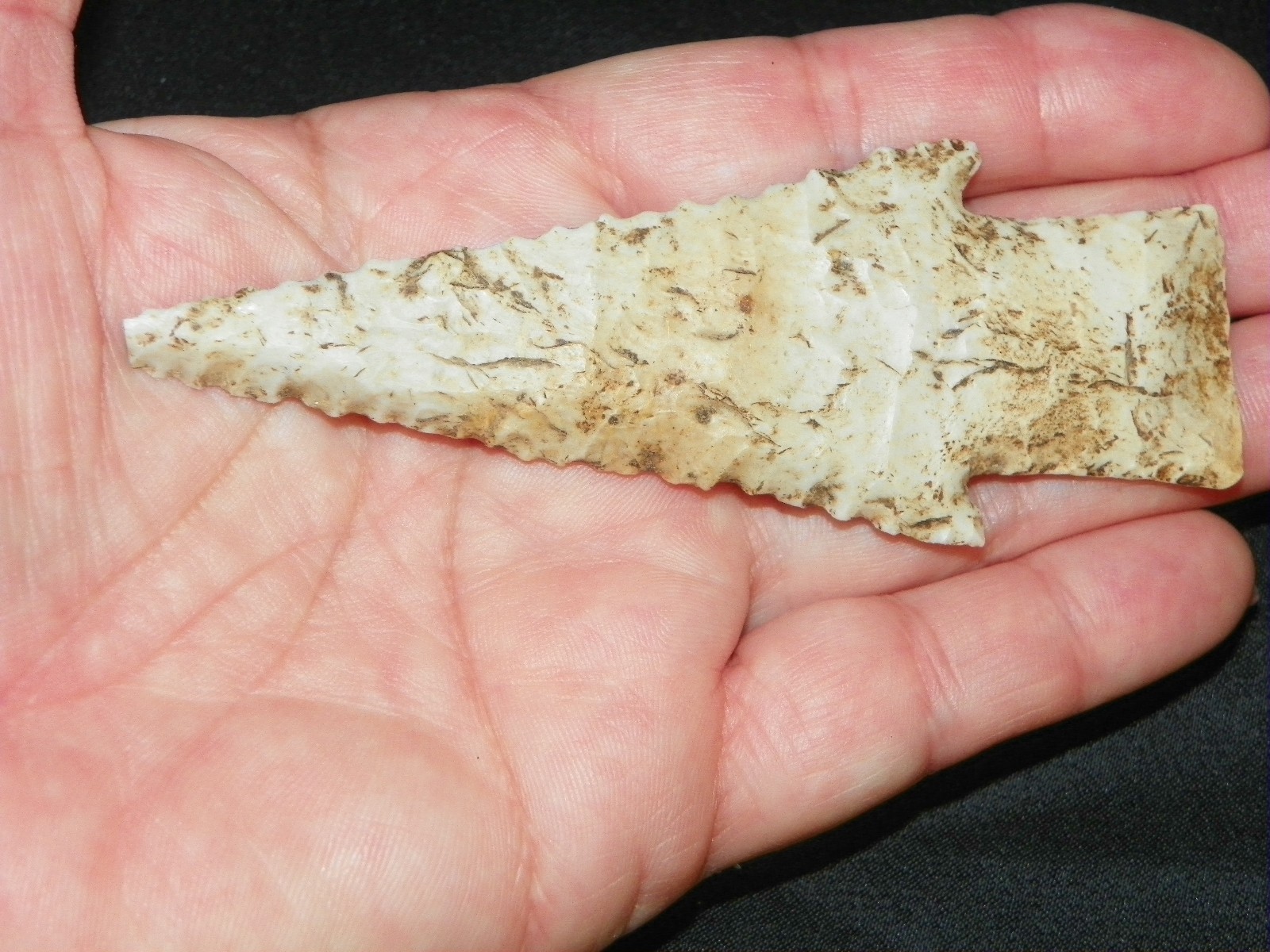 Hardin Arrowhead Point Native American Indian Artifact Tom Davis COA