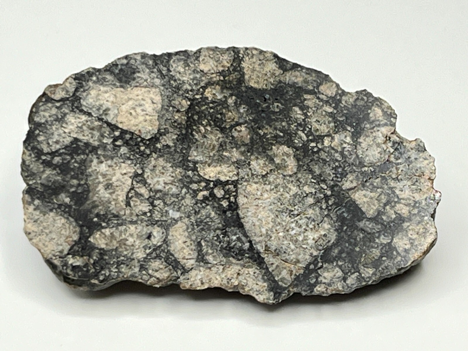 ④未開封隕石5点セット meteorite 7.02LB $?set_id