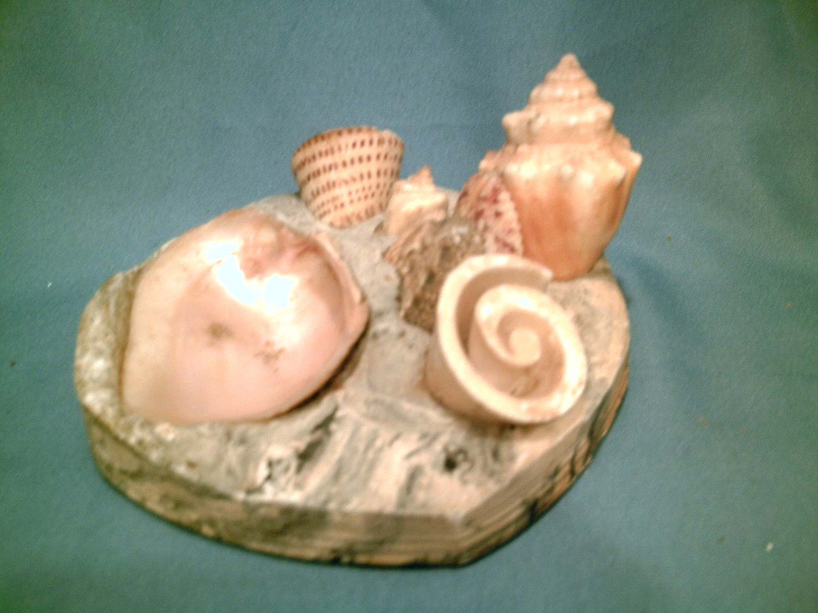 ESTATE LOT! of 5 Hand-Crafted Sea Shell Figures Bird Race Car Trinket Dish Heart