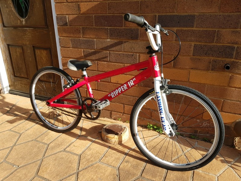 2011 pk ripper
