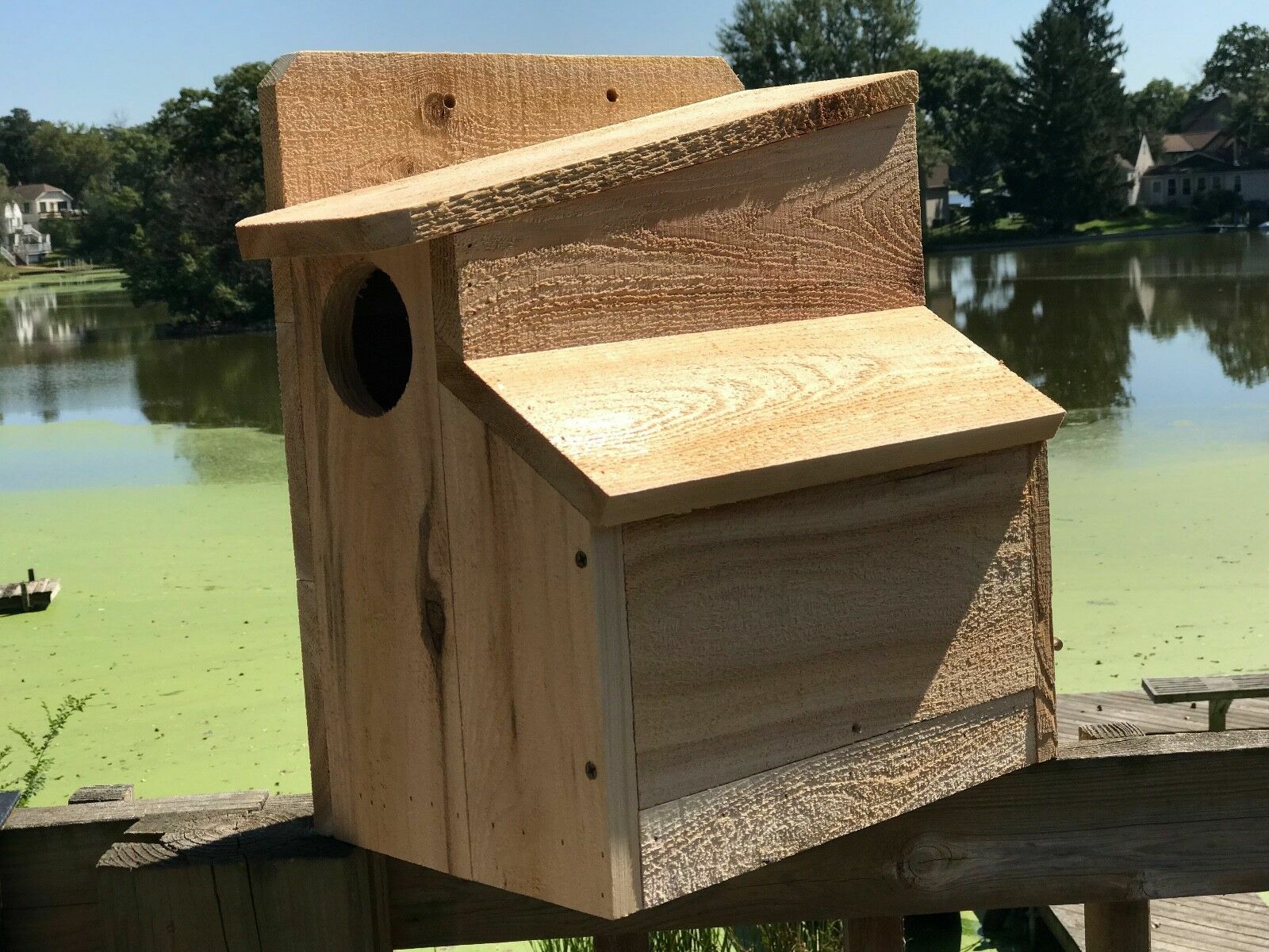 Squirrel House Nesting Box 3/4" Solid Cedar Owl 3 Different Sizes TOP SELLER!!!!