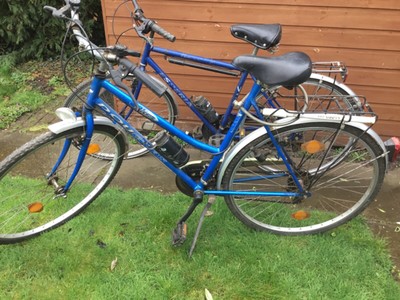 Ladies and gents bikes