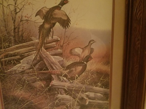 Home Interiors 1982 Gregory Messier Pheasant Print with Ornate Wood Frame