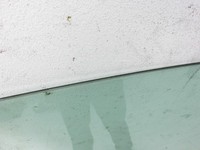 VW Tiguan 5N 11-16 Seitenscheibe Türscheibe für Tür Vorne Rechts VW Tiguan 5N 11-16 12.12.2012 5N0845202 gebraucht Vorschau 2
