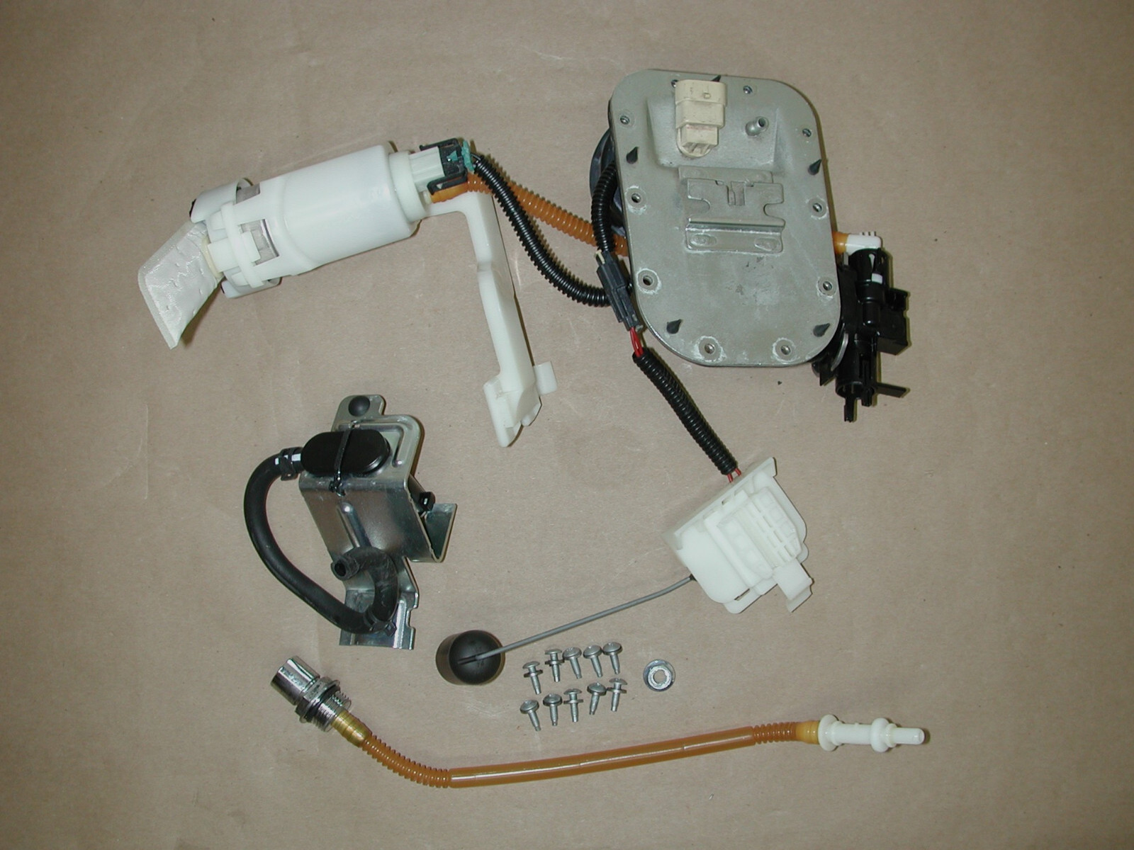 $_57.JPG?set_id=880000500F