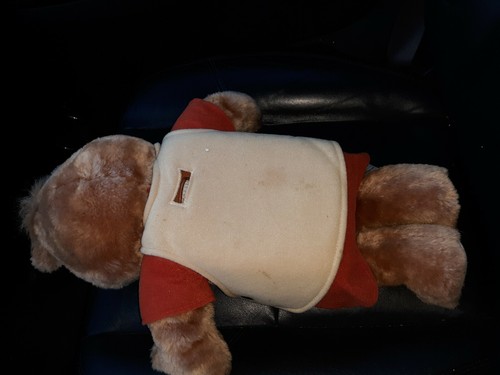 Vintage 1984 1985 Teddy Ruxpin Cassette tape included