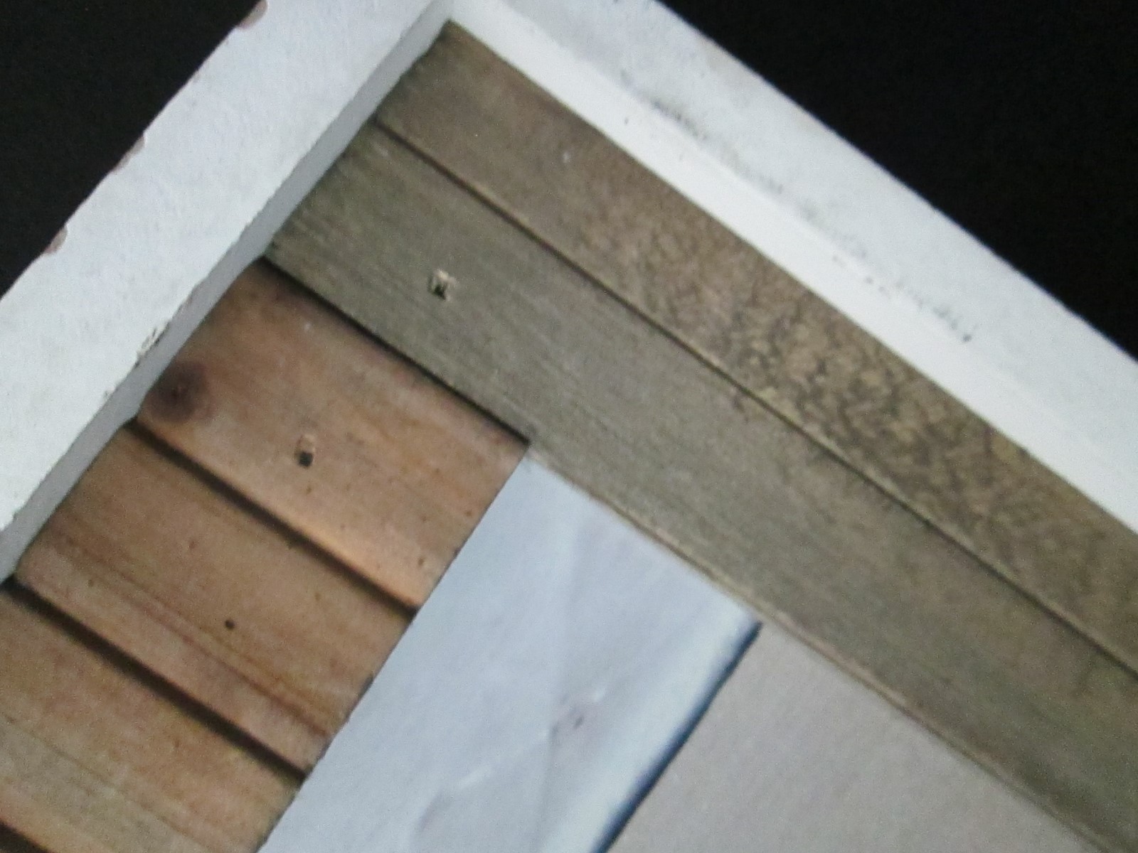 Rare Rustic Mermaid Picture Framed Wood Pancels Beach Sand Starfish Unique Frame