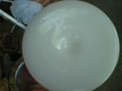 E.O. BROADY Milk Glass VASE COPOTE Grape & Vine Scallop Edge 2250