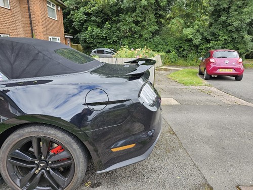 Artikelfoto(s) von einem verifizierten Käufer