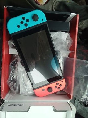 Nintendo Switch - Nintendo Switch ネオン 2台 Nintendo Switch Console System Splatoon 2 Neon Pink/Neon