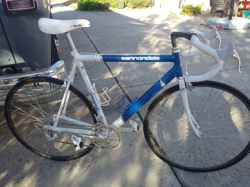 cannondale sr900