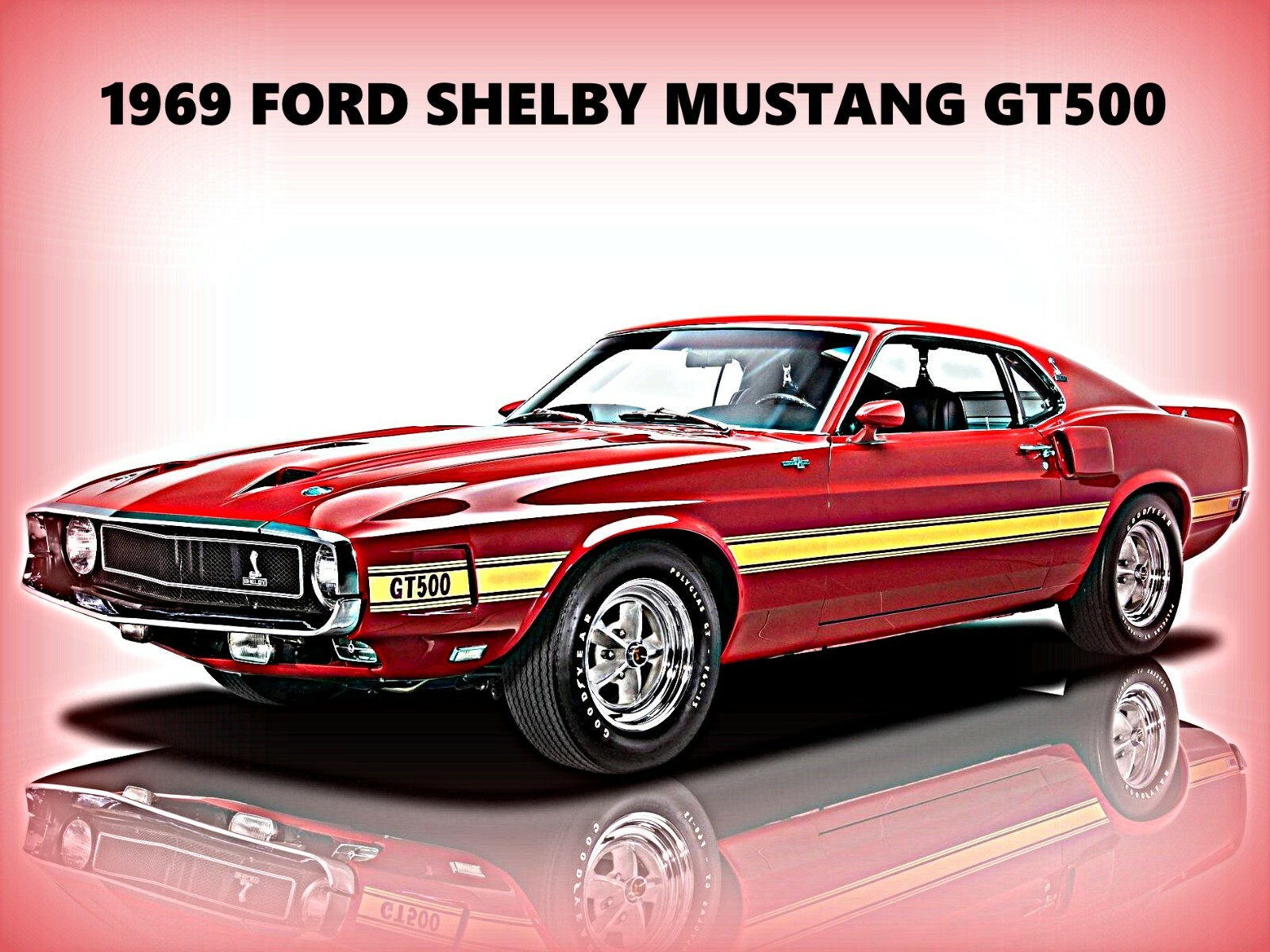 趣味・スポーツ・実用 Remembering the Shelbyyears 1962-1969 趣味・スポーツ・実用 Remembering the Shelbyyears 1962-1969