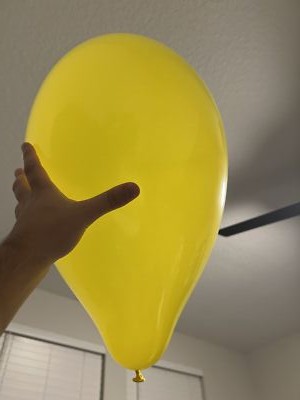 Foto dell'oggetto di un acquirente verificato