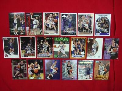 JASON WILLIAMS 19 DIFF BKB CARD LOT PREMIUMS INSERTS & A PARALLEL KINGS