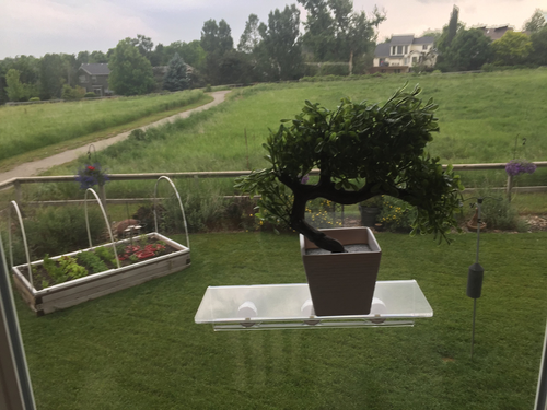 Large Window Sill Suction Cup Shelf