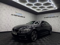 2017 BMW 4 Series 420i xDrive M Sport 5dr Auto [Professional Media] COUPE PETROL