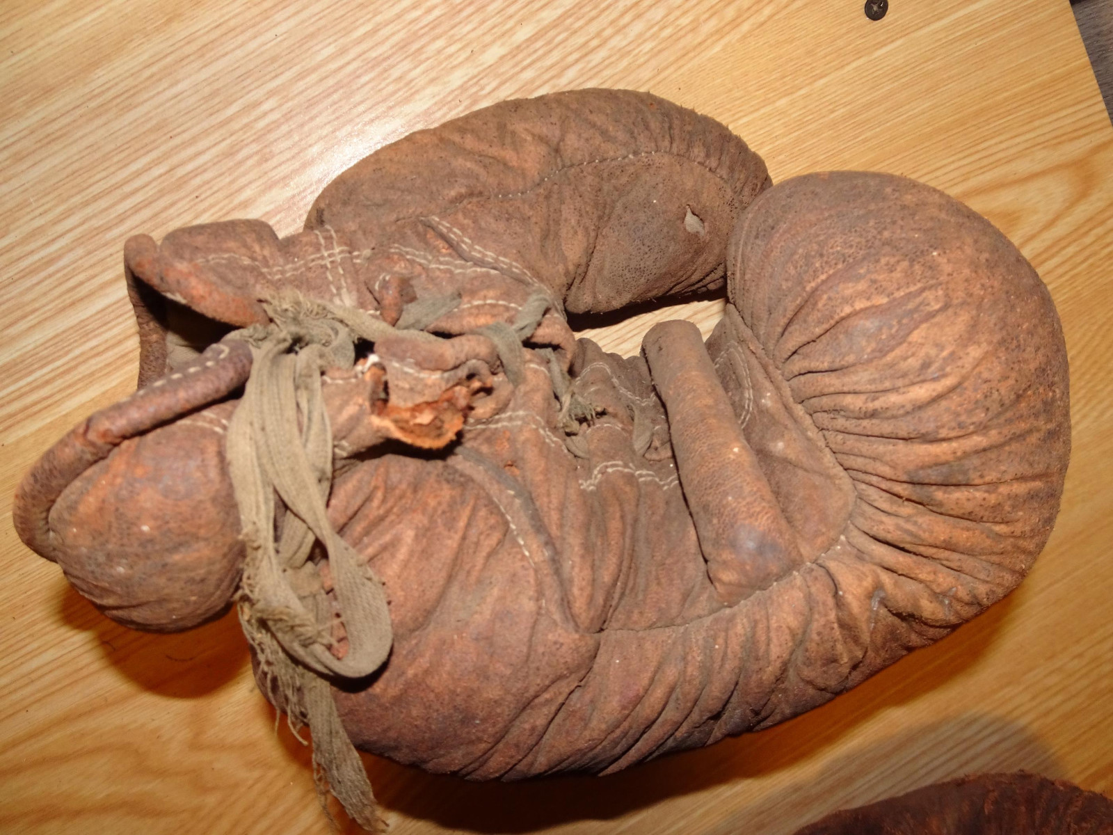 Vintage Antique Adult Boxing Gloves Victor Wright & Ditson Dirty, Rough Shape