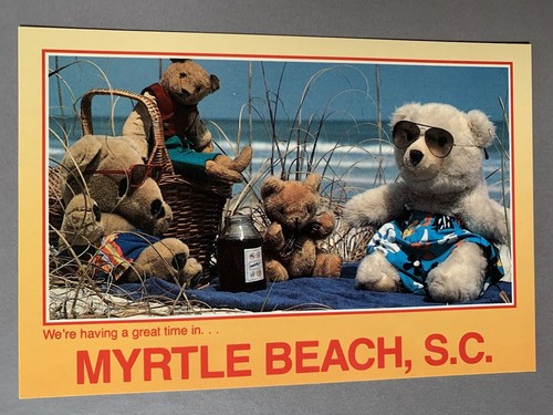 Vintage Myrtle Beach South Carolina Teddy Bears Postcard