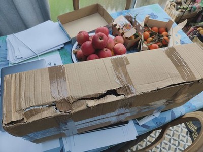 Fotos del artículo de un comprador verificado