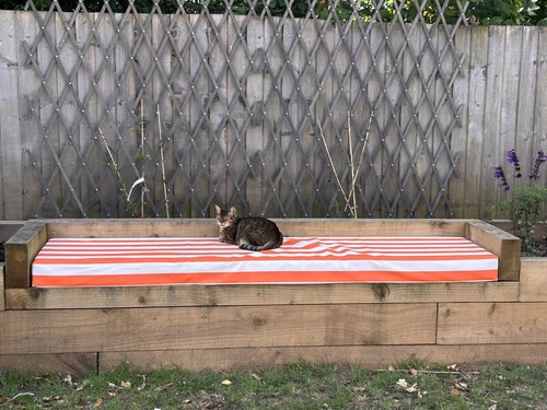 Fotos del artículo de un comprador verificado