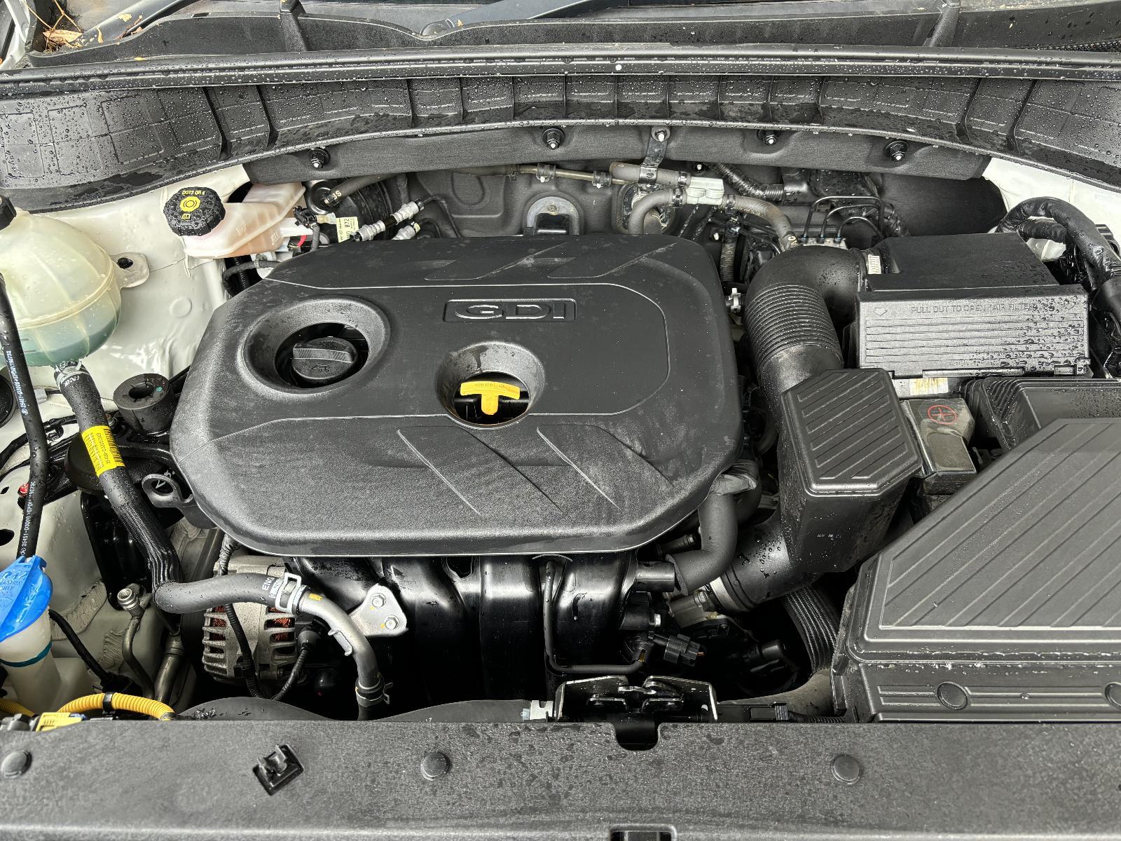 2019 Hyundai Tucson RIGHT REAR DOOR TL 06/18-01/21 18 19 20 21 image 5