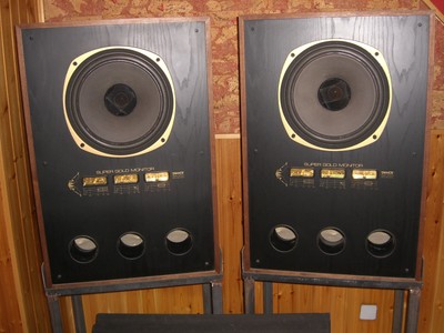 tannoy sgm