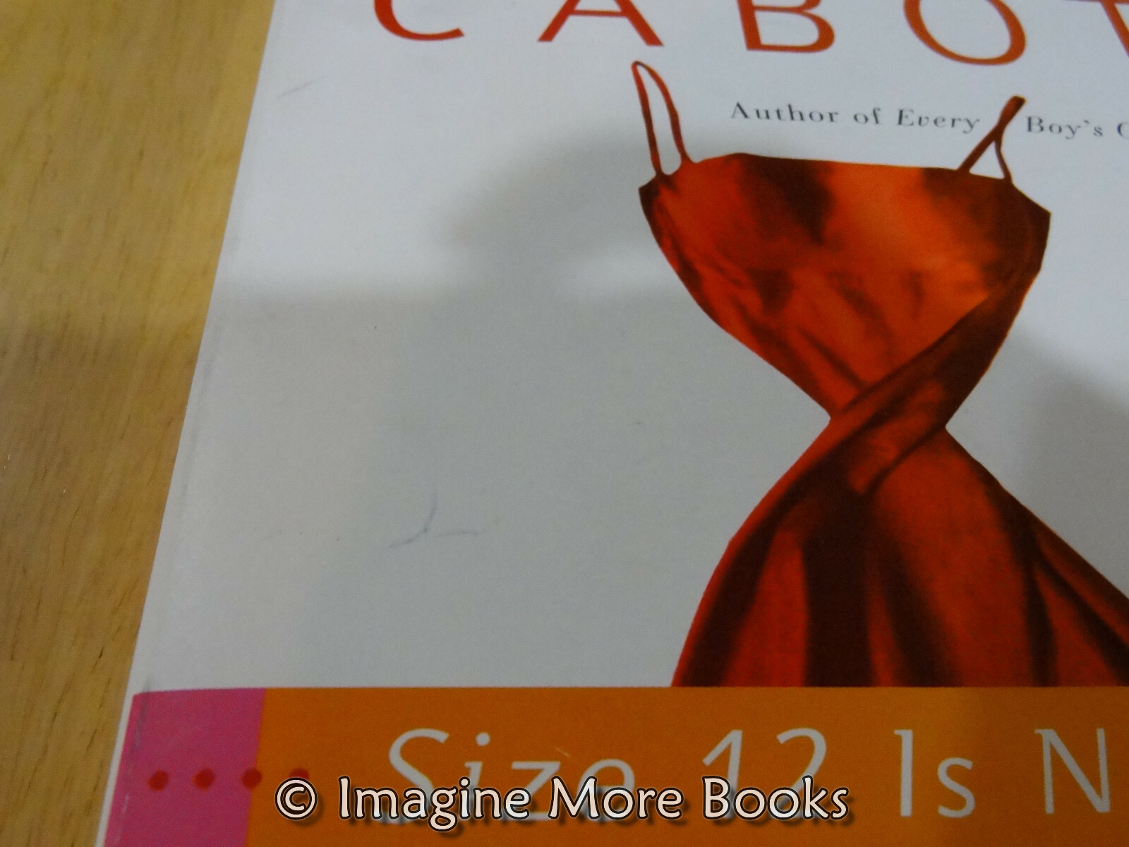 Meg cabot books image