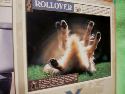 DOG - OLOGY puzzle.Humorous study of the language of DOG LOVERS.750pc.New in box