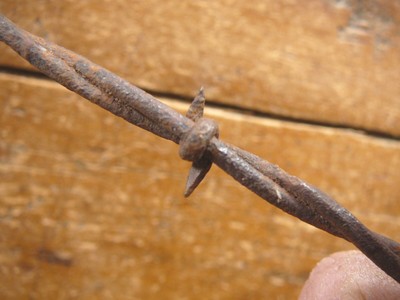CURTIS HALF ROUND 2-PT on ROUND & FLAT - BARB on ROUND  - ANTIQUE BARBED WIRE