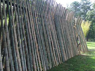 LARGE BAMBOO POLES 3-4