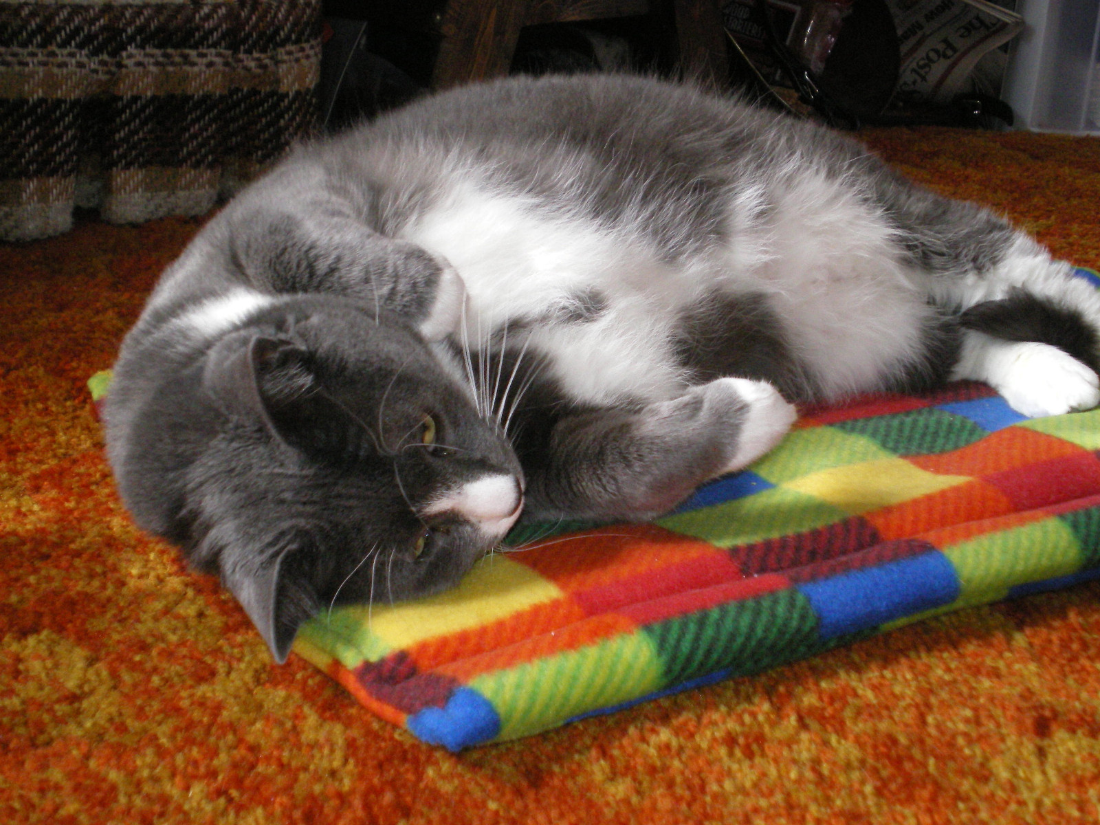 Refillable Fleece Cat Bed Kitty Catnip Pad Mat Toy Organic Cat Nip Handmade New